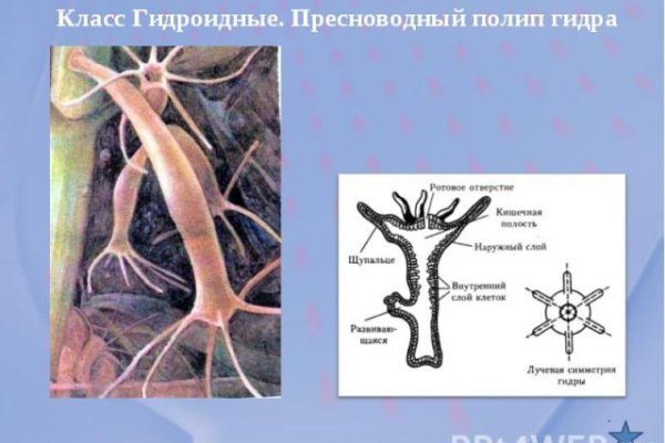 Браузер кракен