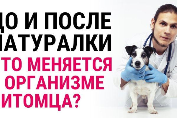 Ссылка на кракен через тор